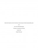 Sistema de transporte vertical de materiales: sistemas de grúas móviles autopropulsadas, grúas torre