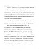 RESUMEN DEL DIARIO DE PRÁCTICAS