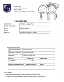 PRUEBA DE HISTORIA s/r