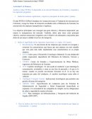 Analiza el plan PETRA II