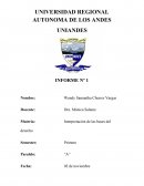 INFORME Proceso de formulación de la ley