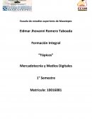 Tópicos. Mercadotecnia y medios digitales