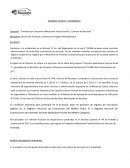Informe tecnico y economico