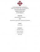 PRESENTACION, PLANIFICACION Y PRESUPUESTO DE NEGOCIO