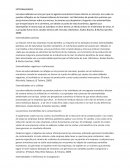 Externalidades. Externalidades negativas e ineficiencias