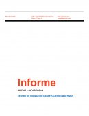 Informe. Programa de la Capacitación