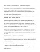 TRABAJO SOBRE LA NUTRICIÓN EN EL PACIENTE ONCOLÓGICO