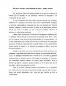 Psicología evolutiva como referente de apoyo a la labor docente