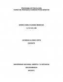 PROGRAMA DE PSICOLOGÍA CURSO DE PROCESOS COGNOSCITIVOS BÁSICOS