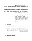 SUMILLA: ABSUELVO ACUSACIÓN, SOLICITO SOBRESEIMIENTO Y OFREZCO MEDIOS PROBATORIOS