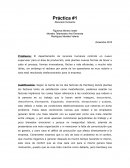 Practica 1 Recursos Humanos