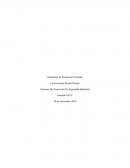 Sistemas De Protección De Seguridad Industrial