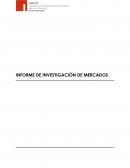 INFORME DE INVESTIGACIÓN DE MERCADOS