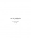 Análisis Interno y Externo de la Empresa