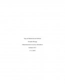 Administración de recursos informáticos. Tipos de Mantención de Software