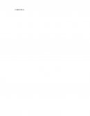 Proceso de contrataciones