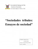 “Sociedades tribales: Ensayos de sociedad”