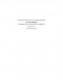 Gestión de la prevención de riesgos laborales, empresa RBAR