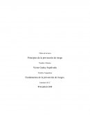 Tarea semana 1 higiene industrial