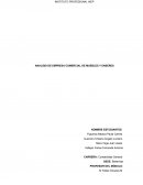 ANALISIS DE EMPRESA COMERCIAL DE MUEBLES Y ENSERES