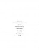 ANALISIS DE LAS CUENTAS Y SALDOS