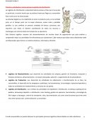 Procesos, actividades y tareas agrupa la Logística de Distribución - Trazabilidad