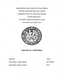 PRACTICA No. 5 PROTEÍNAS