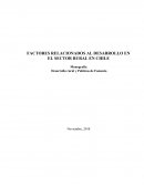 FACTORES RELACIONADOS AL DESARROLLO EN EL SECTOR RURAL EN CHILE