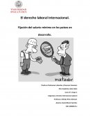 Fijación del salario mínimo en los países en desarrollo. Grado en Relaciones Laborales y Recursos Humanos