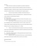 Final seguridad electrica