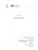 Laboratorio cinética química