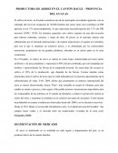 PRODUCTORA DE ARROZ EN EL CANTÓN DAULE – PROVINCIA DEL GUAYAS