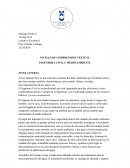 NIVELES DE COMPRENSIÓN TEXTUAL INGENIERÍA CIVIL Y MEDIO AMBIENTE