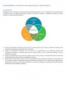 Sustentabilidad y sustitución entre capital natural y capital artificial