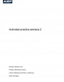 ¿Que debió haber realizado el técnico?