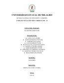 EL SISTEMA MUSCULAR