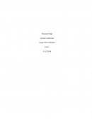 Gestion ambiental proyecto