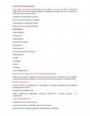 Organizacion y sistemas