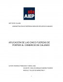 Fuerzas de Porter Comercio de Calzado en Chile