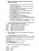 Segmenta las siguientes palabras en lexemas, morfemas flexivos y derivativos