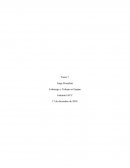 Tarea 7 Liderazgo y trabajo en equipo