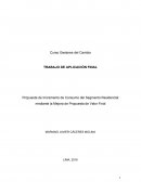 Trabajo Final - Gestión del Cambio y Cultura Organizacional