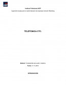 Ingeniería de ejecución en administración de empresas mención Marketing