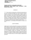 Incidente apelacion y amparo indirecto