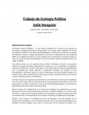 Trabajo de Ecología Política Valle Nonguén