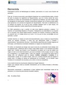 Metodologias de Análisis - Programa