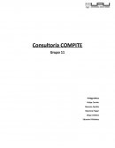 Consultaría Compite