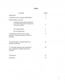 Micro, Pequeñas y Medianas Empresas y Productividad en Zacatecas