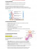 Respiracion pulmonar