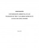 Contaminación ambiental en los polígonos de tiro y las armas químicas en la Isla San José, Panamá